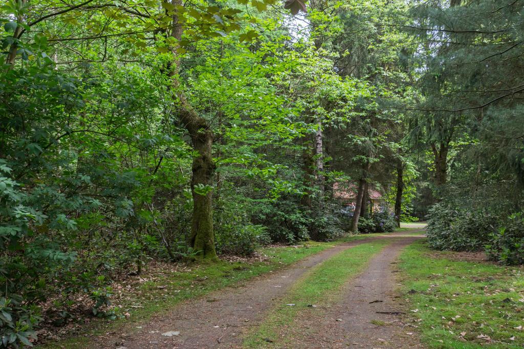 Bungalowpark Vogelenzang Villa Lage Mierde Exteriör bild