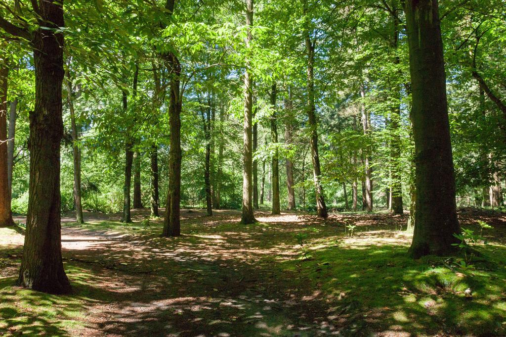 Bungalowpark Vogelenzang Villa Lage Mierde Exteriör bild