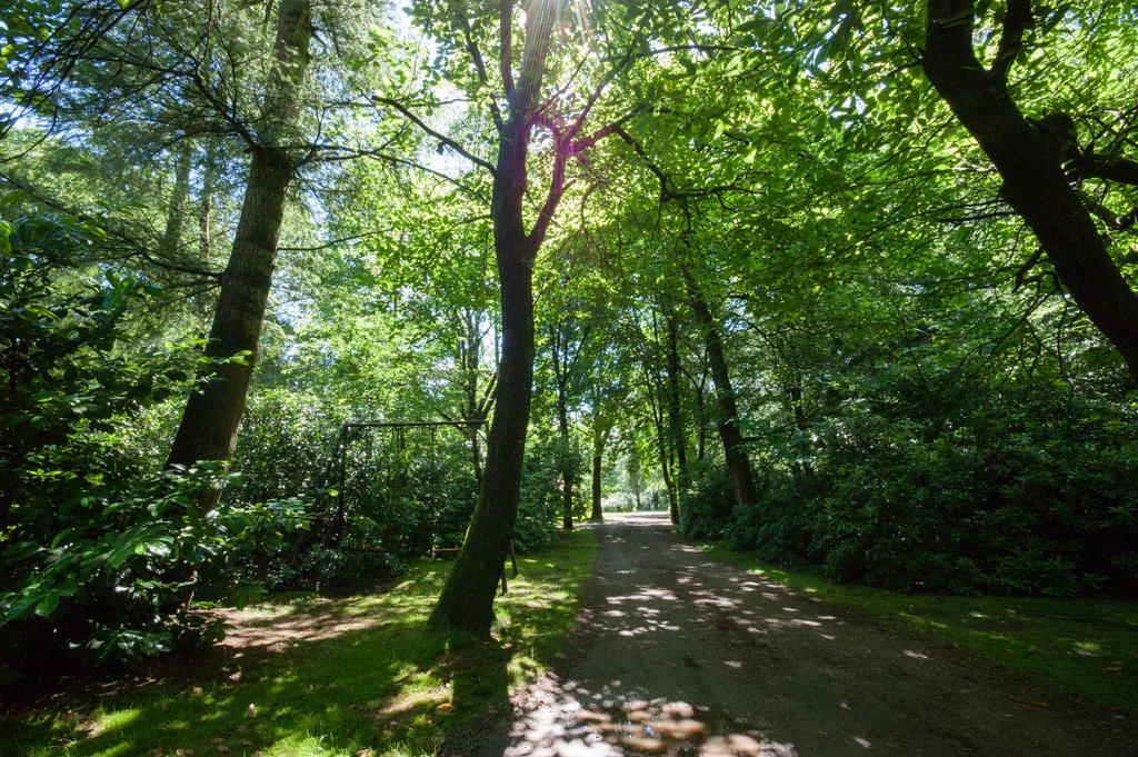 Bungalowpark Vogelenzang Villa Lage Mierde Exteriör bild