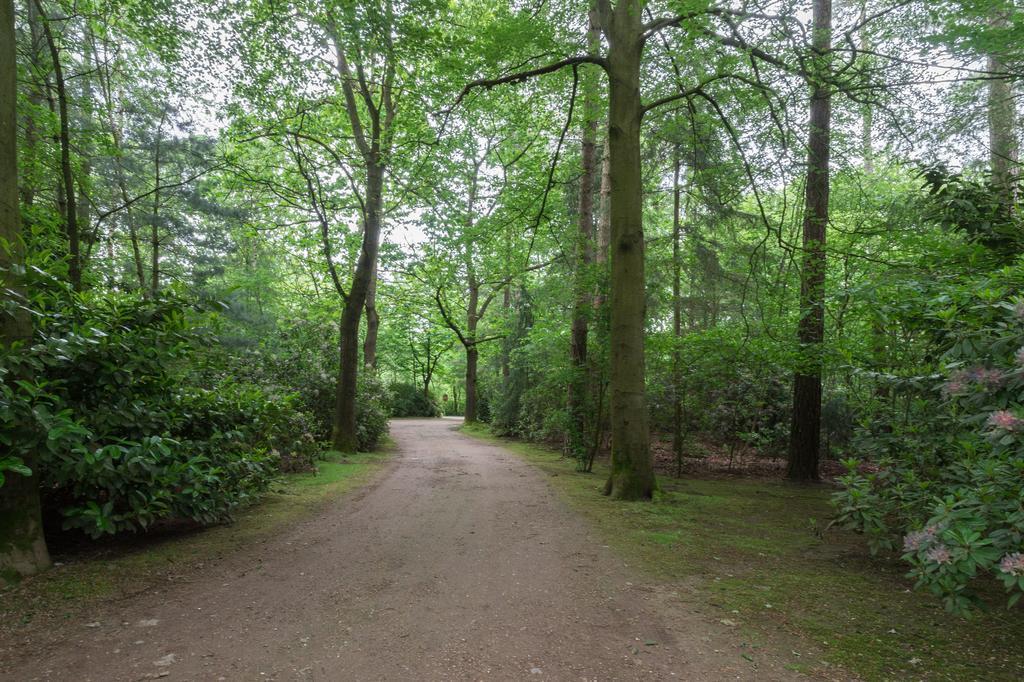 Bungalowpark Vogelenzang Villa Lage Mierde Exteriör bild